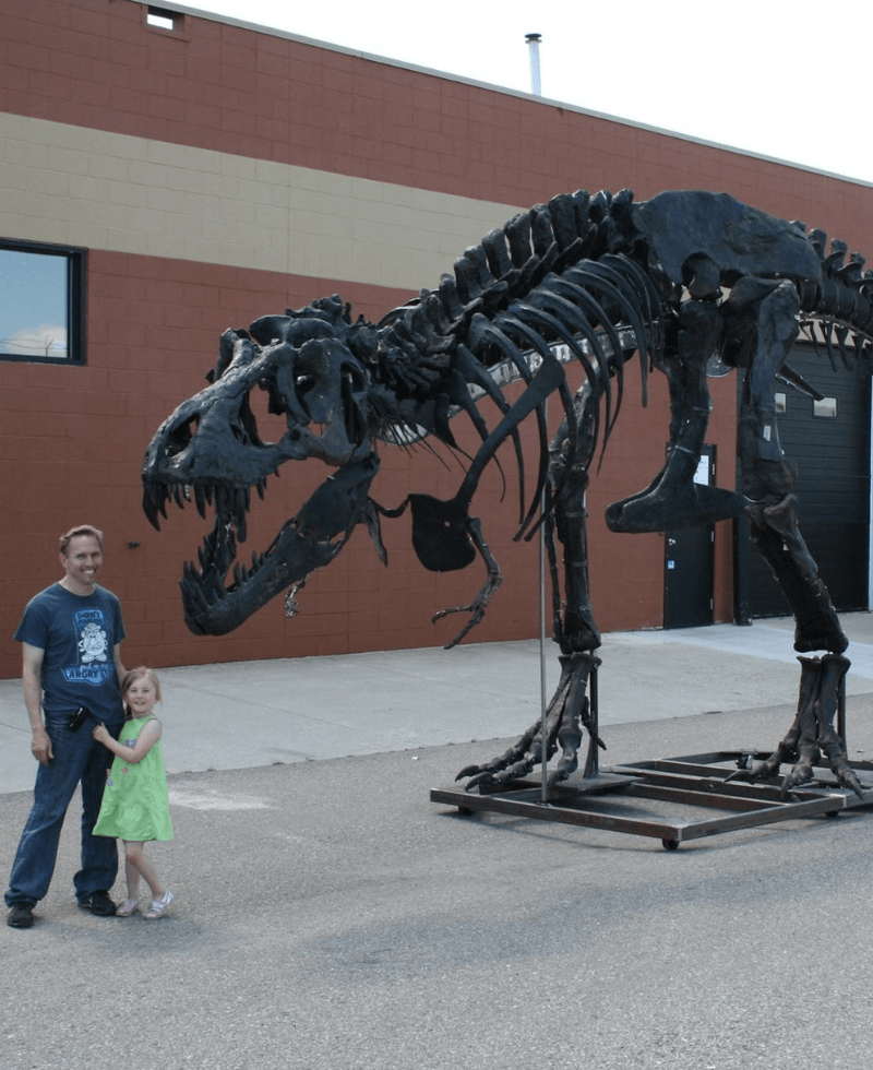 Tyrannosaurus rex - skeleton  Terry and his daughter standing beside the T.rex known as King Kong. This T.rex was a full grown adult and suffered many injuries, but one in particular might have been his downfall. King Kong suffered a badly broken fibula.