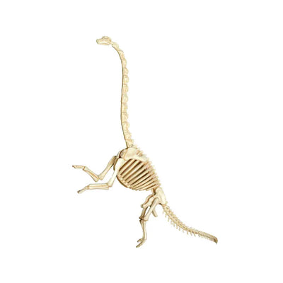 4D Brachiosaurus Vision Model