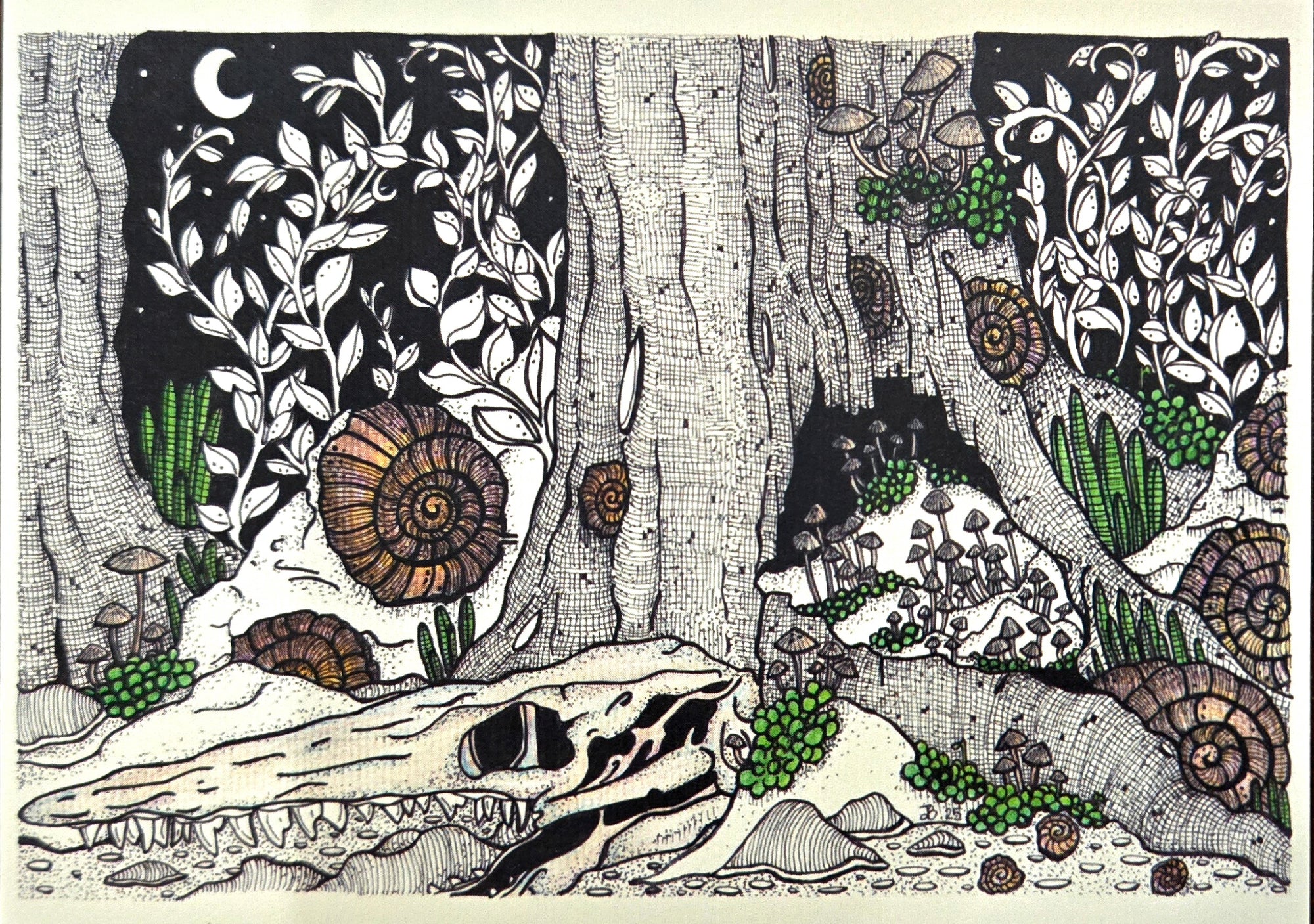 Forest Mosasaur Postcard