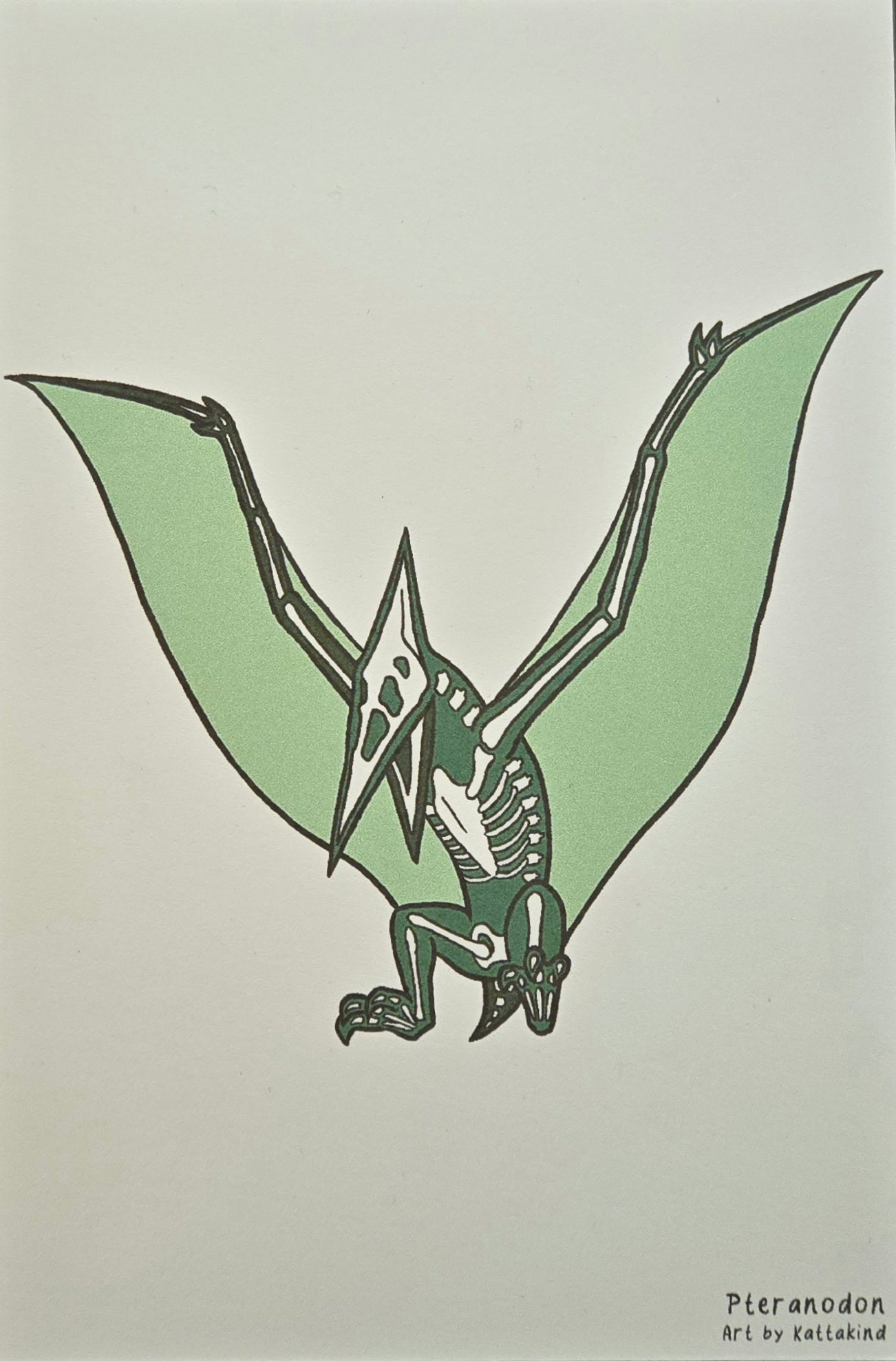 Pteranodon Postcard
