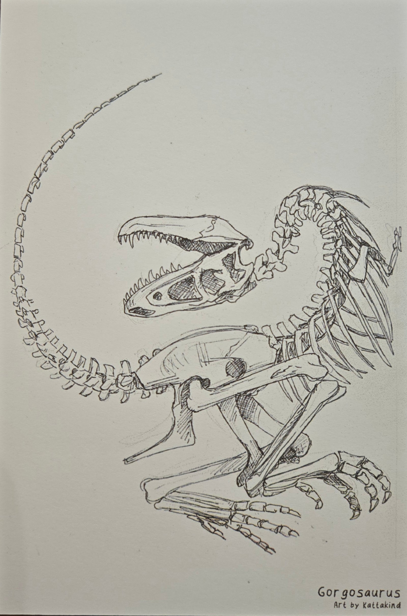 Gorgosaurus Postcard