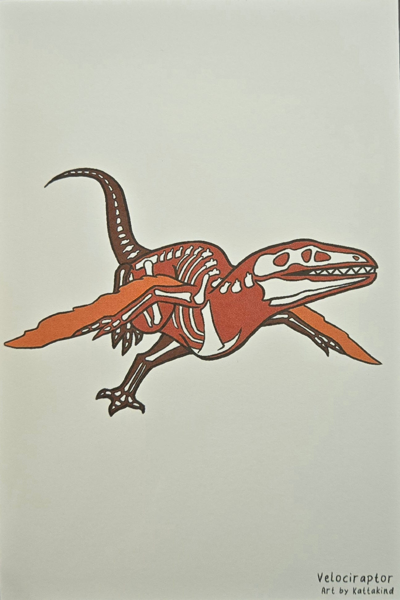 Velociraptor postcard