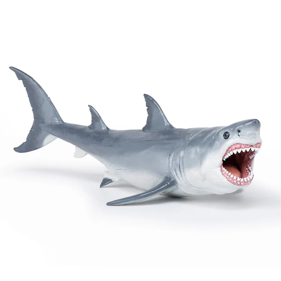 Megalodon