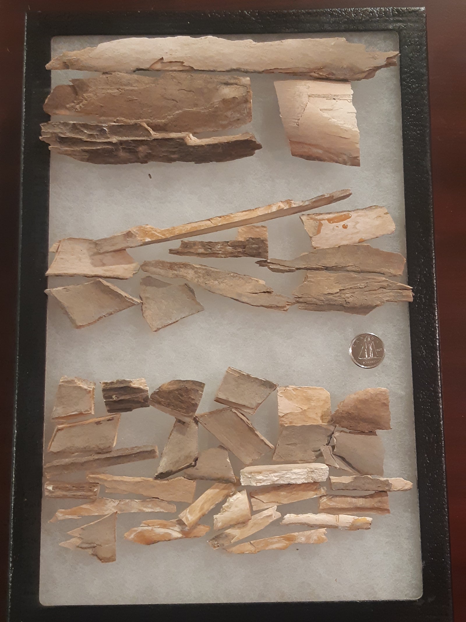 Mammoth Bark Shards (Large)