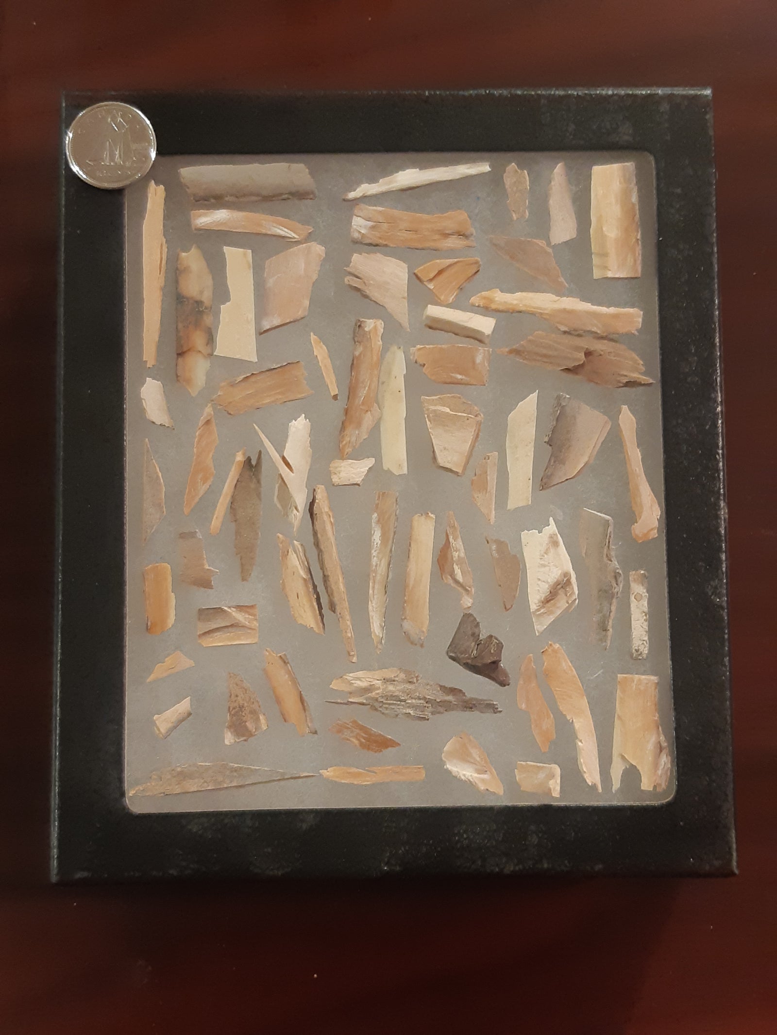 Mammoth Bark Shards (Extra Small)