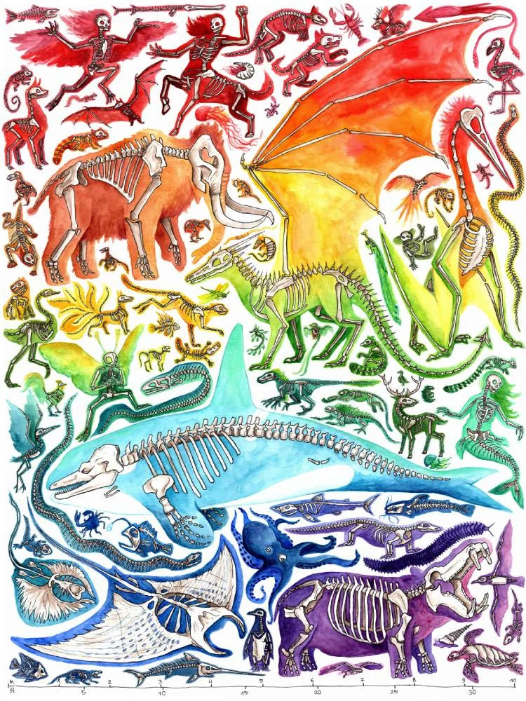 Rainbow Animal Poster