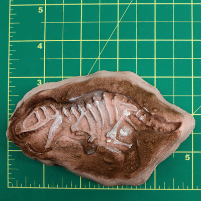 Dino Fossil