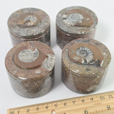 Goniatite Trinket Box