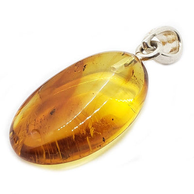 Natural Baltic Amber With Insects Silver Pendant
