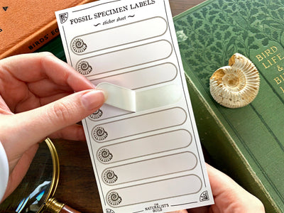 Fossil Specimen Label Sheet