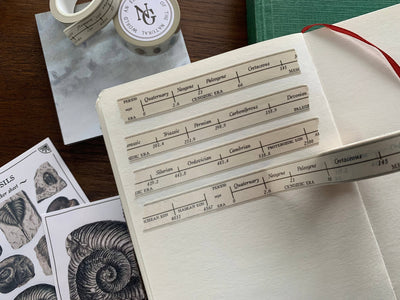 Geological Timeline Washi Tape