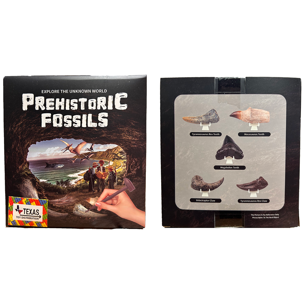Prehistoric Fossils Paleontology Dig Kit