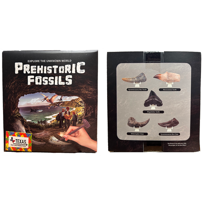 Prehistoric Fossils Paleontology Dig Kit