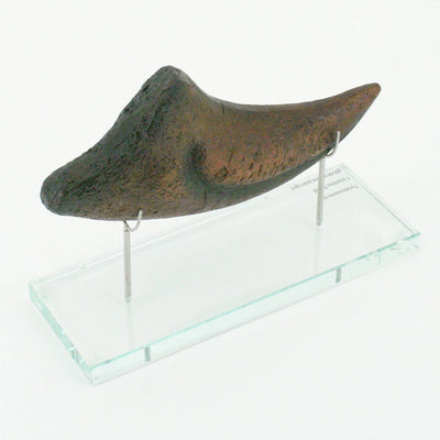 T.rex Horizontal Claw replica