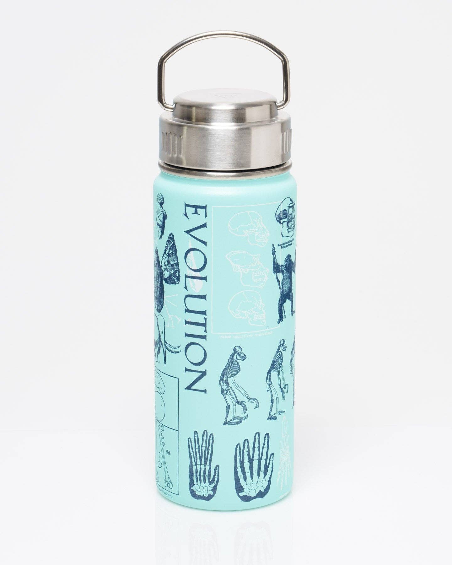 Human Evolution 18 oz Steel Bottle