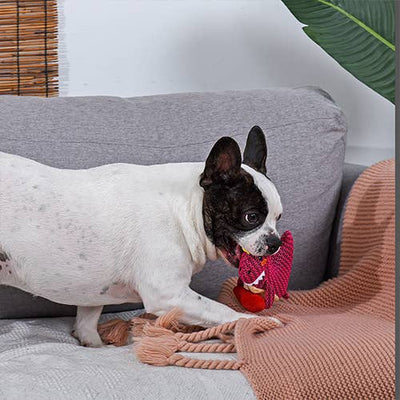 HugSmart Pet -Rexy - Dog Plush Toy