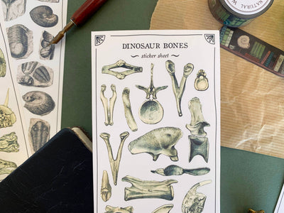 Dinosaur Bones Sticker Sheet