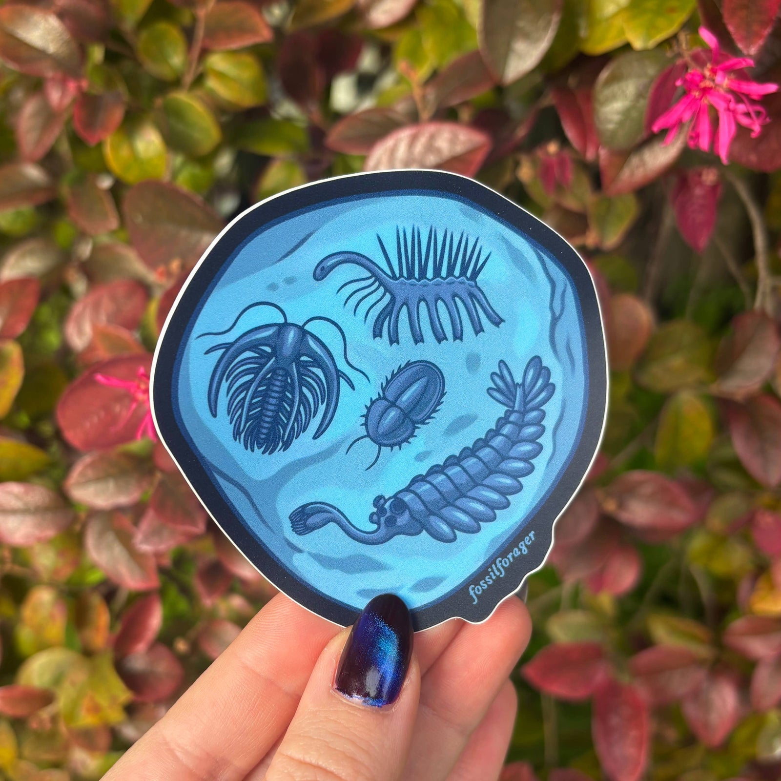 Burgess Shale Fossil Sticker