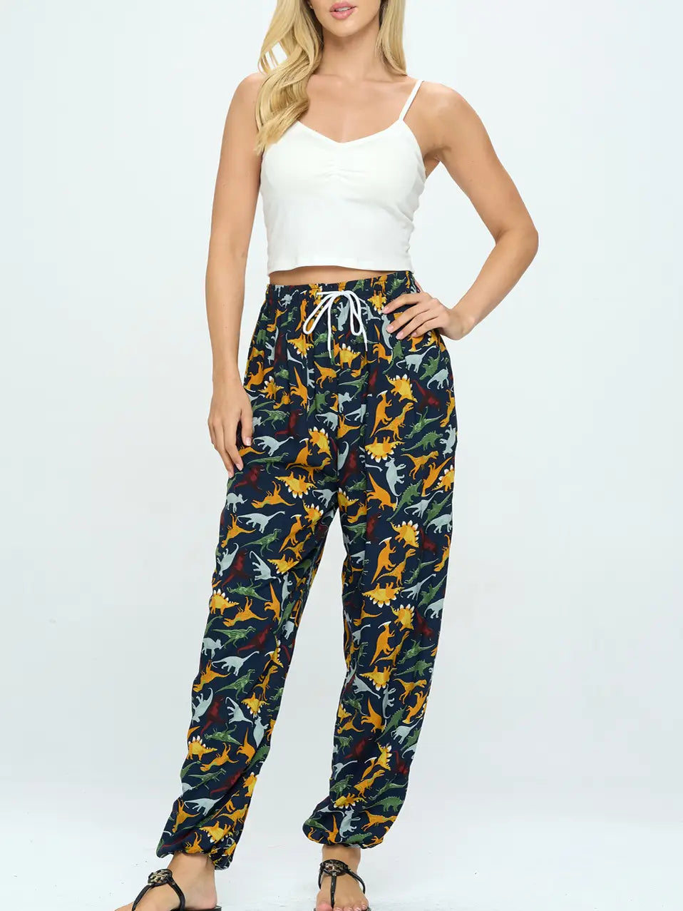 Dinosaur Print pants w/ Drawstring