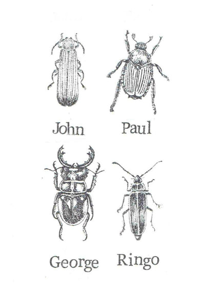 Meet The Beetles Card | Funny Birthday Card Insects Humor Beatles Pun