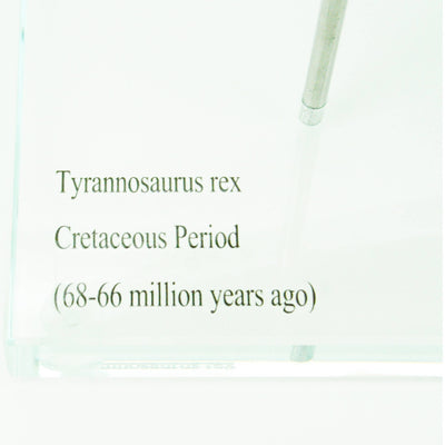 T.rex Horizontal Claw replica