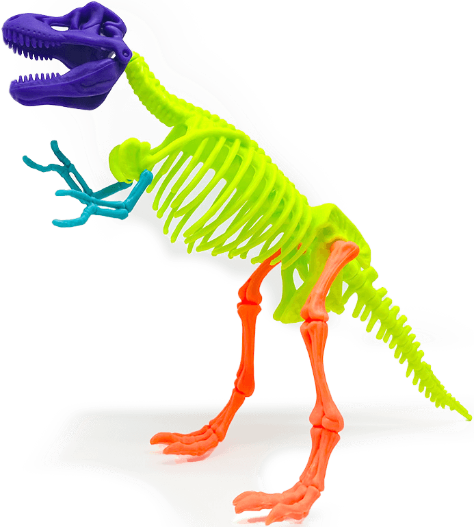 T-Rex Skeleton
