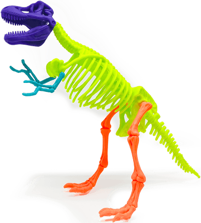 T-Rex Skeleton