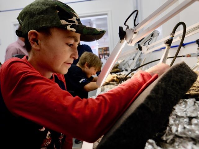 Fossil Prep in Action  Some of our junior VIP guests from the Help Fill A Dream Foundation working on triceratops bones.