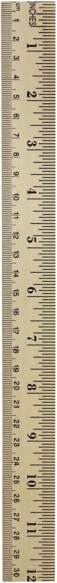 Women in Tech Ruler