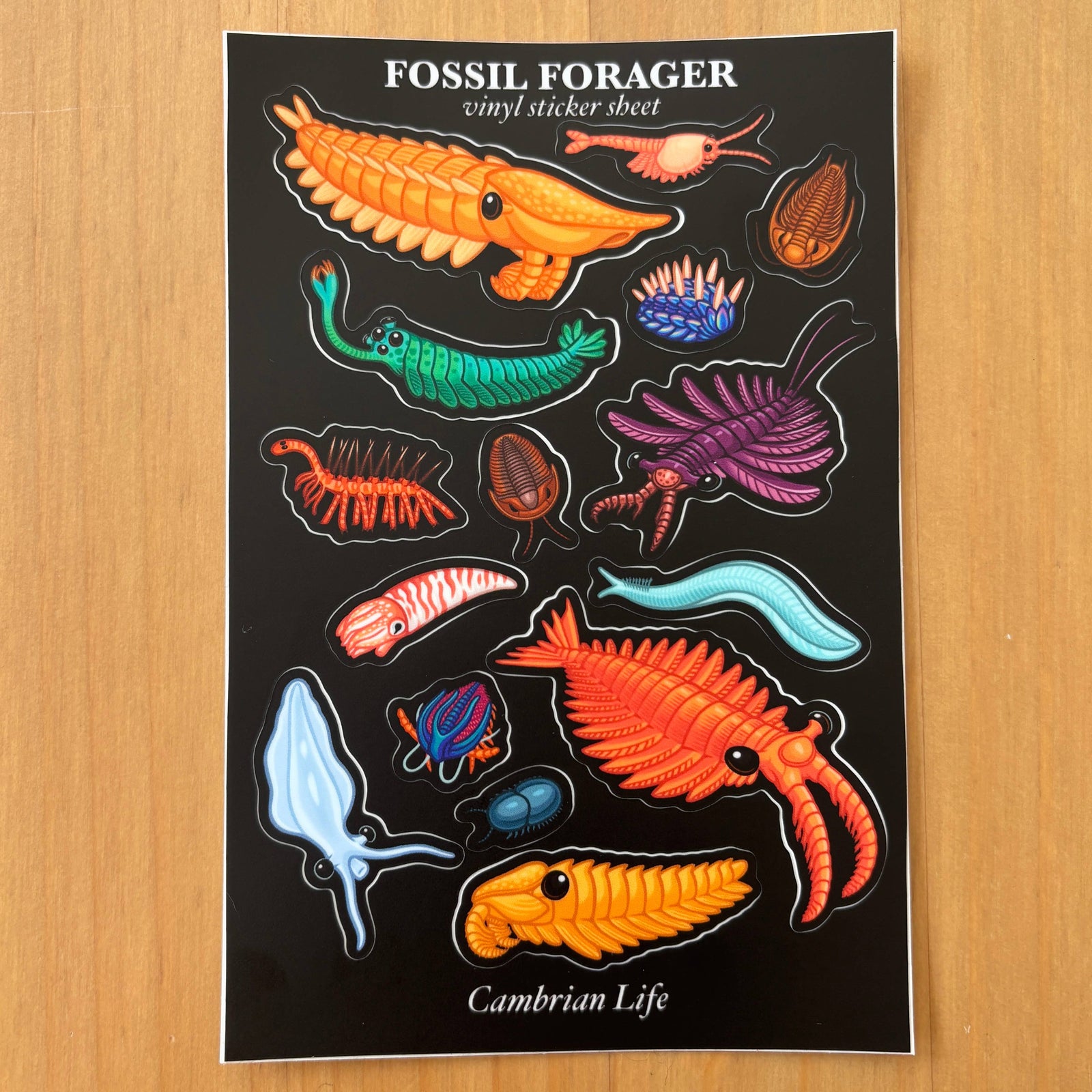 Cambrian Life Sticker Sheet