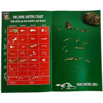 Owl Pellet Dissection Kit
