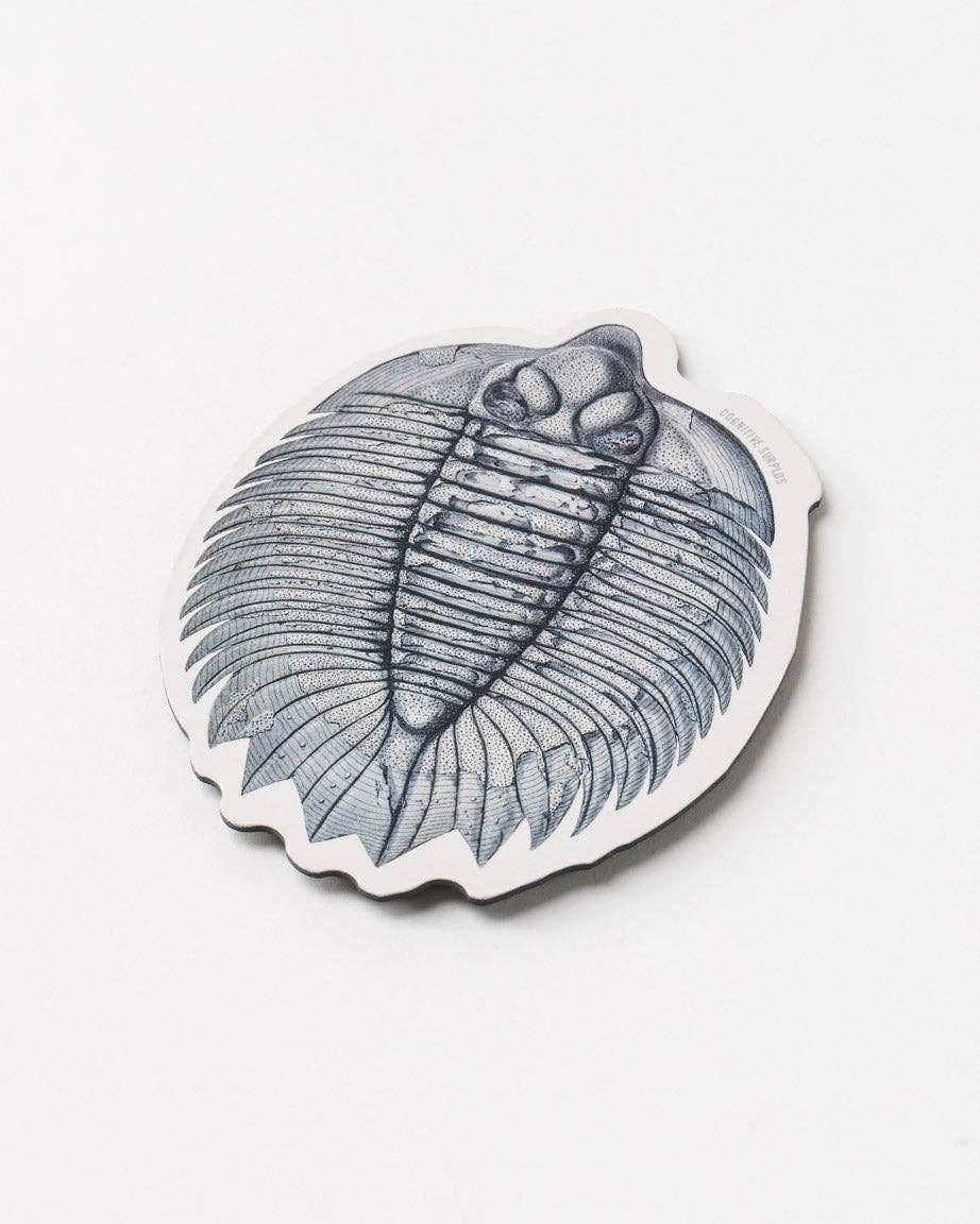 Trilobite Fossil Magnet