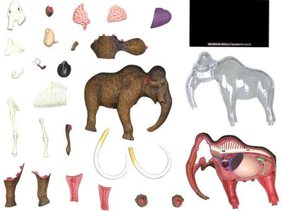 4D Woolly Mammoth