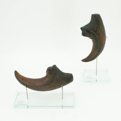 Allosaurus Horizontal Claw Replica