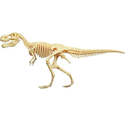 4D T-Rex Vision Model
