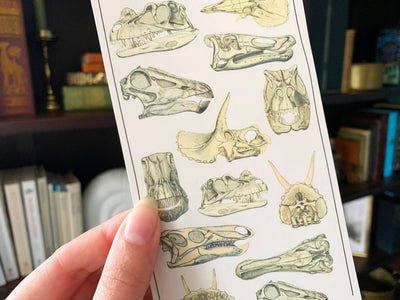 Dinosaur Skulls Sticker Sheet