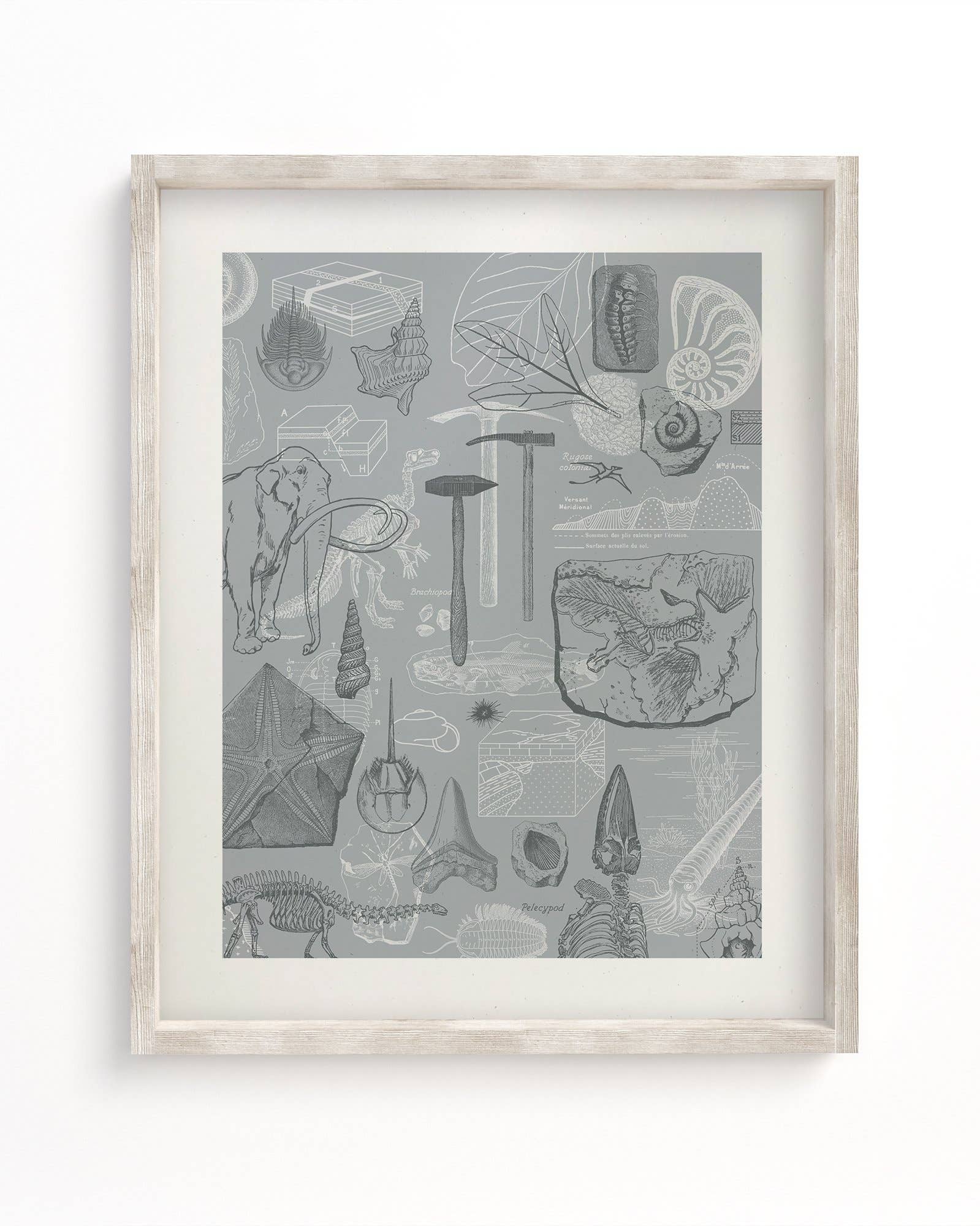 Paleontology Print