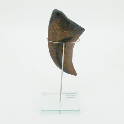 Tyrannosaurus Rex Vertical Claw