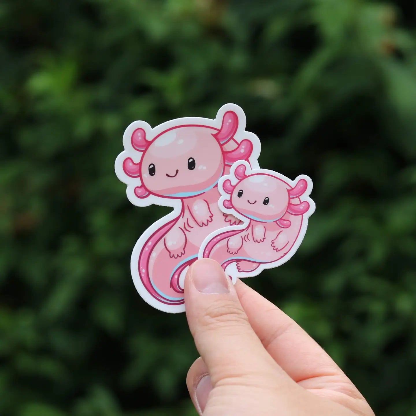 Mini Axolotl Vinyl Sticker