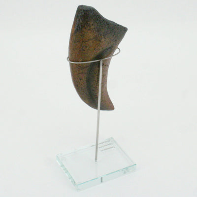 Tyrannosaurus Rex Vertical Claw