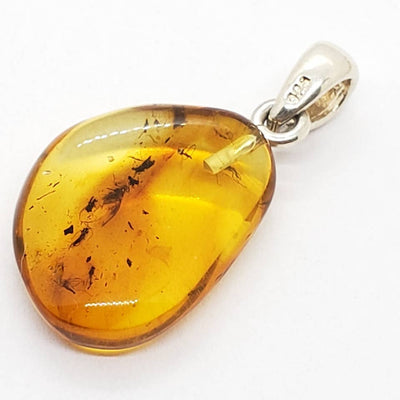 Natural Baltic Amber With Insects Silver Pendant