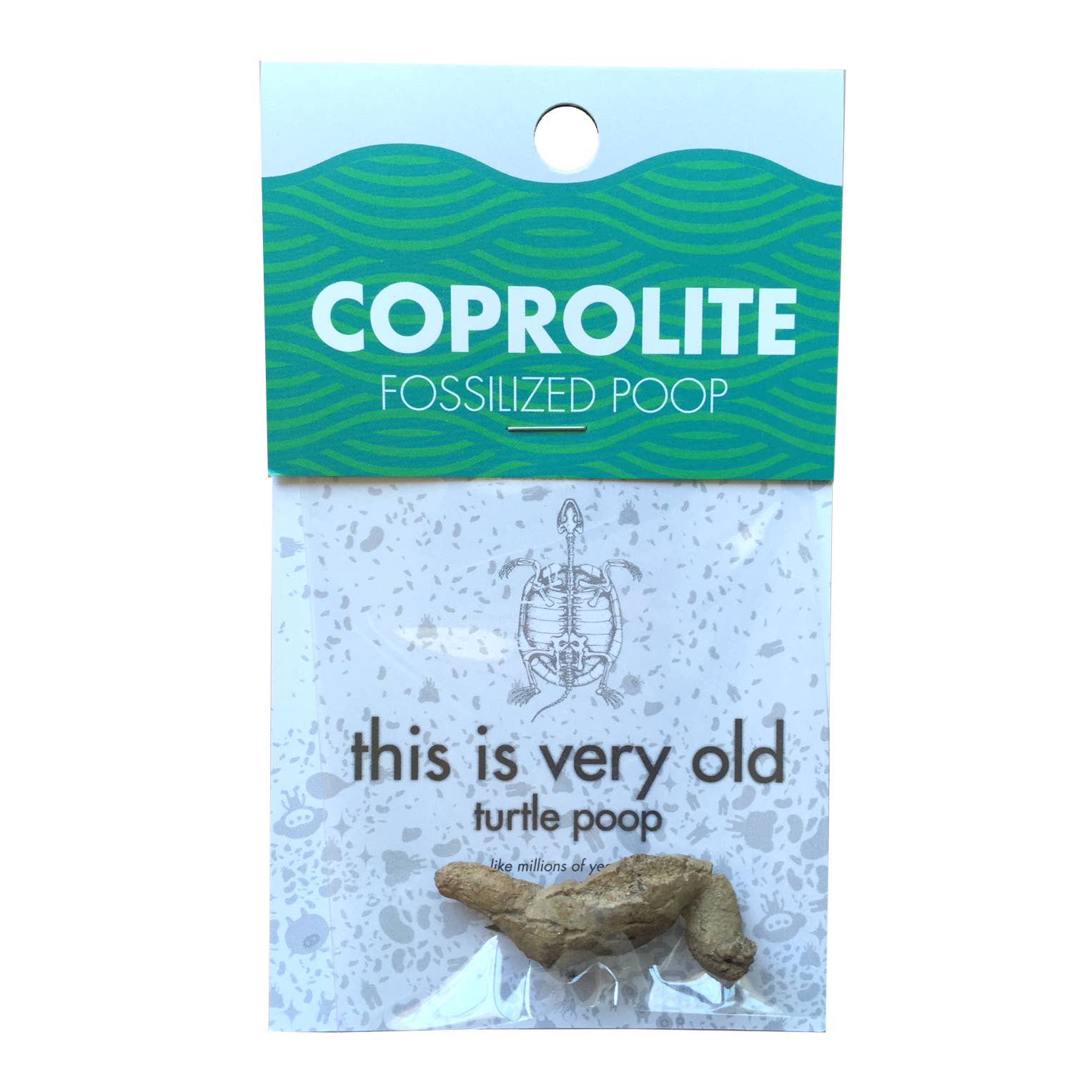 Coprolite Fossil |
Compact Curiosities Coprolite Fossil