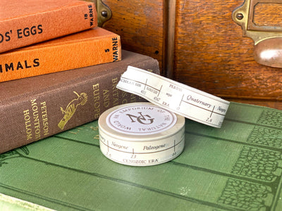 Geological Timeline Washi Tape
