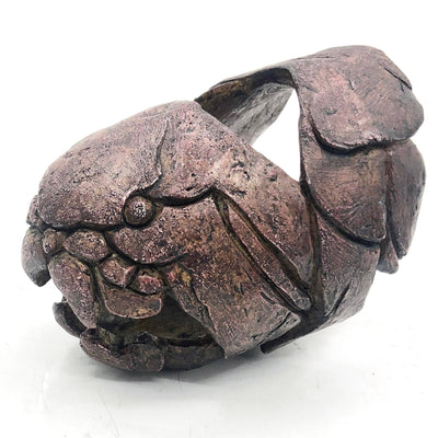 Faux Dunkleosteus Mini Dinosaur Fossil Skull