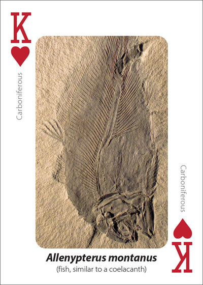 Fossils Playing Cards