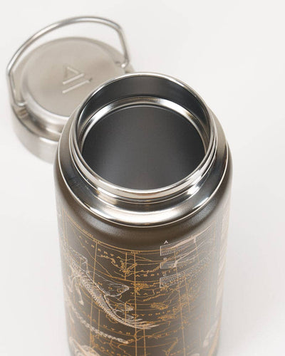 Dinosaurs 18 oz Steel Bottle