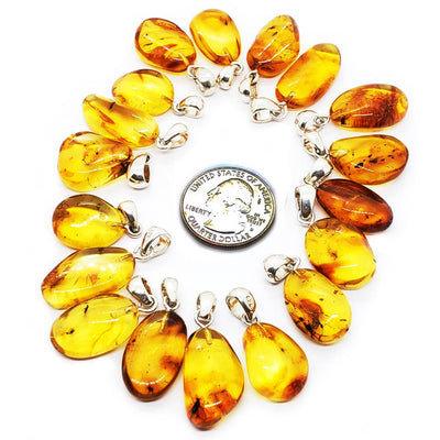 Natural Baltic Amber With Insects Silver Pendant