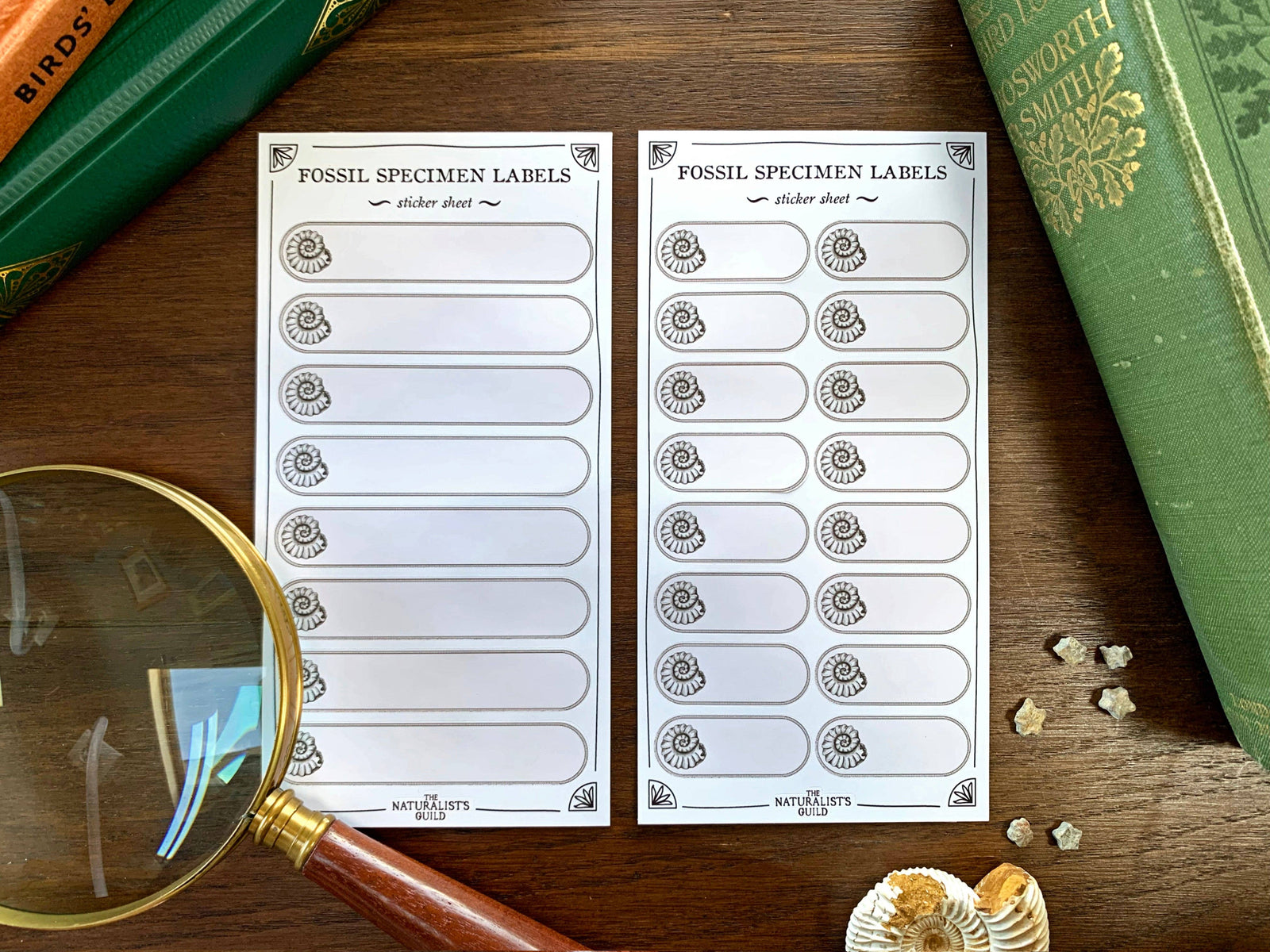 Fossil Specimen Label Sheet