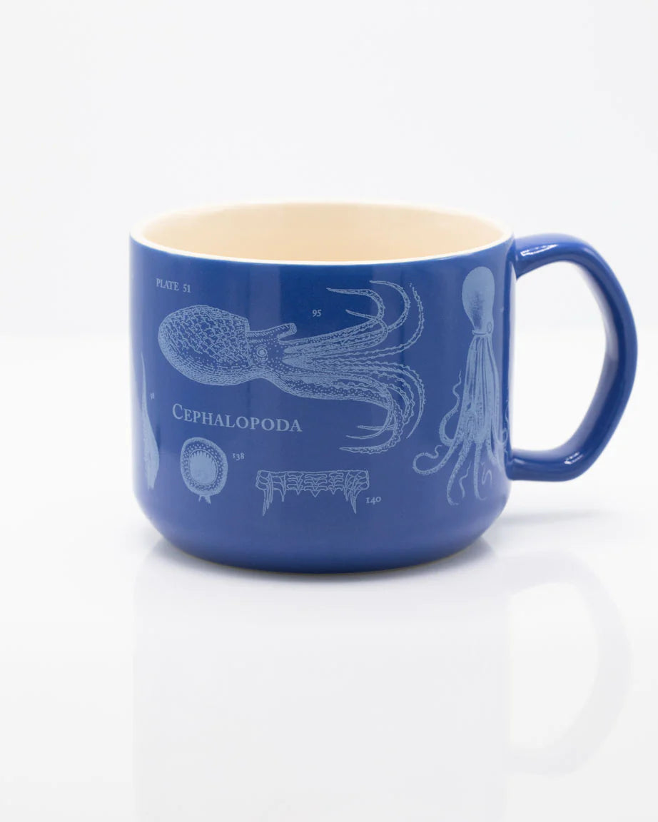Beware the Kraken Cephalopod Mug