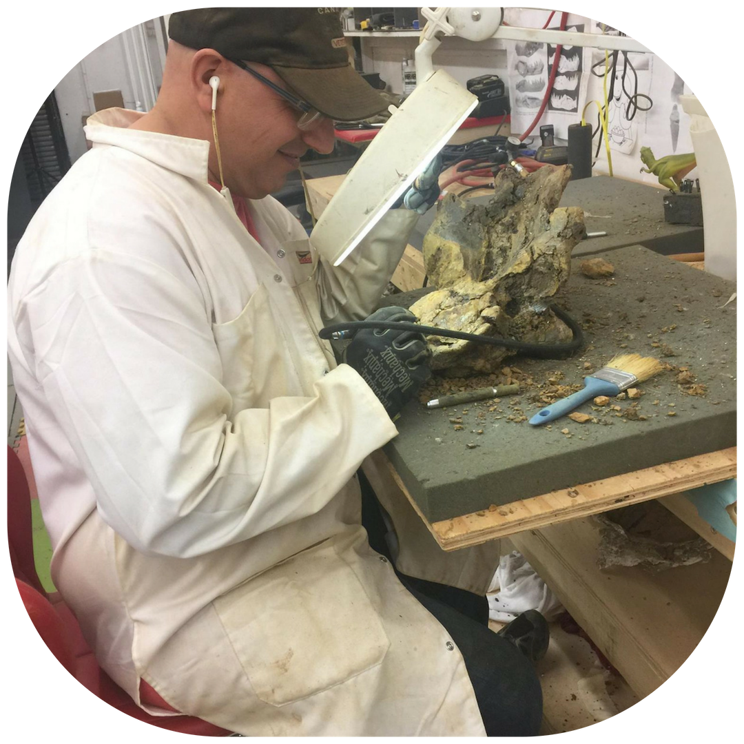 On our exclusive Dinosaur Experience you can touch real dino bones ...
